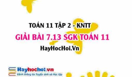 Bài 7.13 SGK Toán 11 Tập 2 Kết nối tri thức